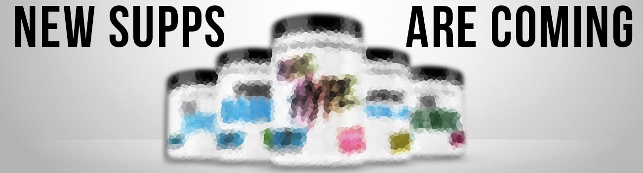 New Product Launch