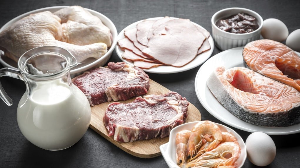 The Leanest Proteins For Building Muscle