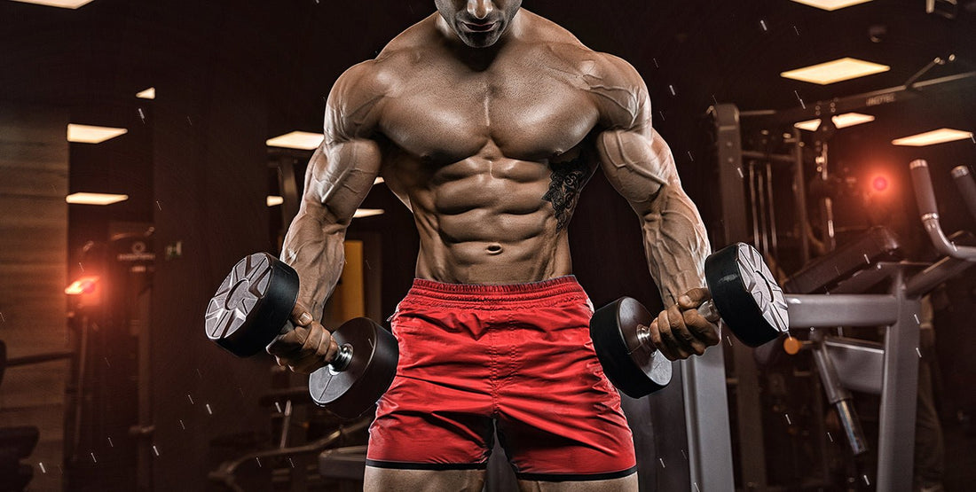 The Shredded Dumbbell Workout Challenge